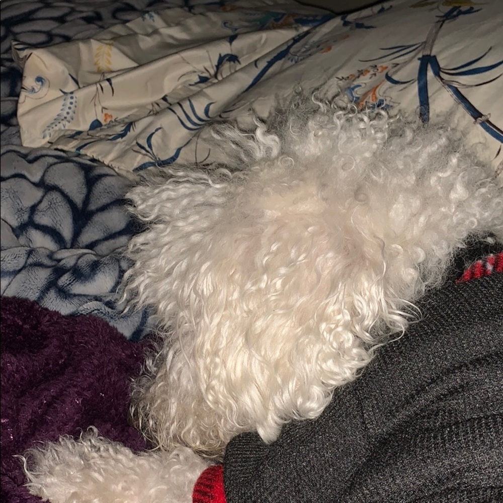 Meet your Posher, Ray